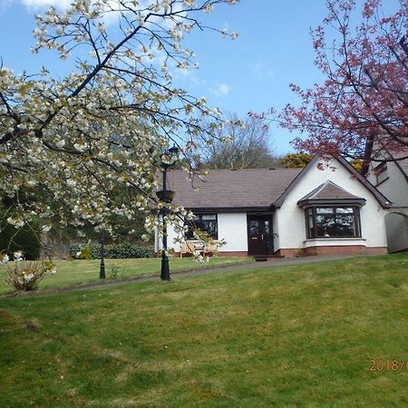 Torrent Cottage Coalisland Kültér fotó